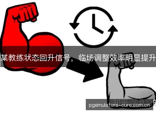 某教练状态回升信号,临场调整效率明显提升 某教练状态回升信号,临场调整效率明显提升
